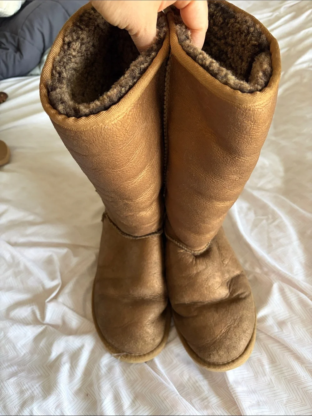 Classic Shine Tall Ugg Chestnut Shearling Boots - 7